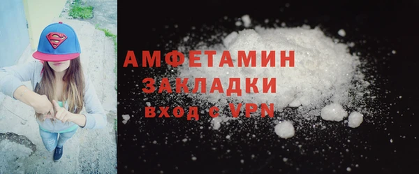 индика Балабаново