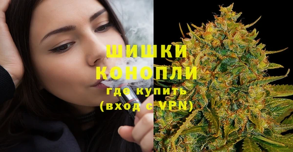 стаф Балахна
