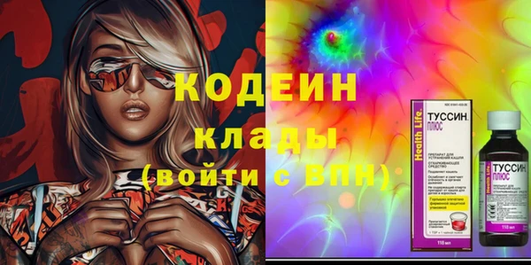 индика Балабаново
