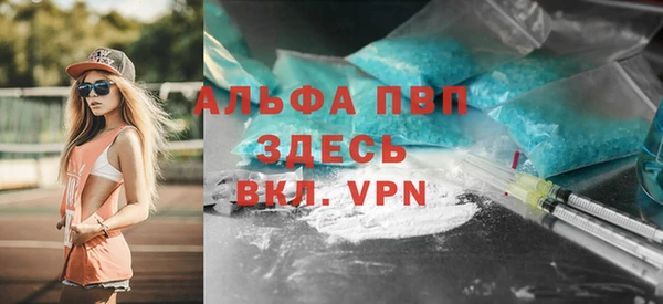 стаф Балахна