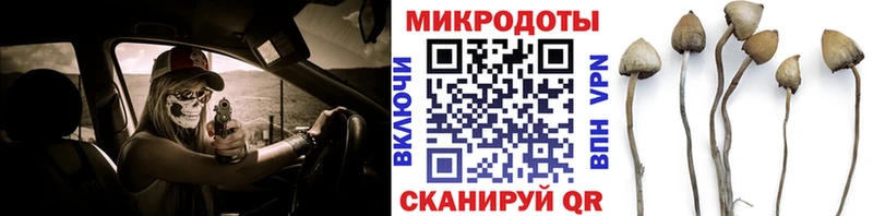 Псилоцибиновые грибы GOLDEN TEACHER  купить  сайты  Усть-Джегута 